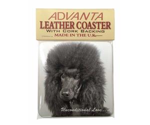 Click image to see all products with this Black Poodle.