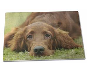 Click image to see all products with this Irish Red Setter Puppy.