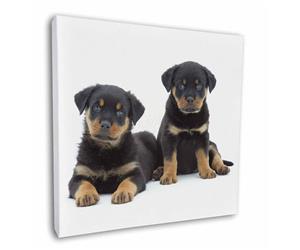 Clickl image to see all products with these Rottweiler Puppies.