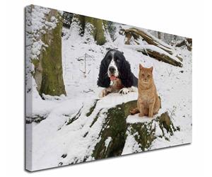 Animal Gifts of Almost Every Type and Breed, Just Keep Clicking Until You Find Your Favourites.,