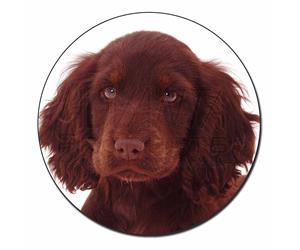 Click to see all products with this Chocolate Cocker Spaniel Puppy