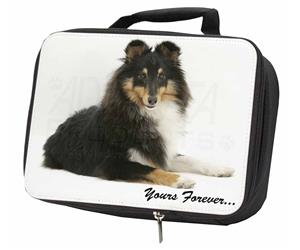 Click image to see al products with this Tri-Colour Shetland Sheepdog.

"Yours Forever..."