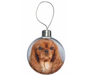 Click image to see all products with thise Ruby King Charles Spaniel.