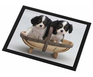 Click image to see all products with these King Charles Spaniel Puppies.