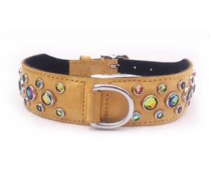 Click image to see all Dog and Cat collars.
