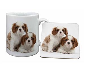 Click image to see all products with these Blenheim King Charles Spaniel Puppies.