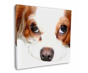 Click image to see all products with this Cavalier King Charles Spaniel.