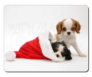 Click image to see all products with these King Charlese Spaniels.