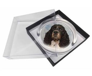 Click image to see all products with this Tri-Colour Springer Spaniel.