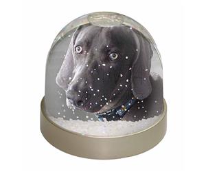 Click image to see all products with this Weimaraner.
