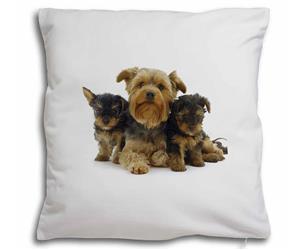 Click image to see all products with these Yorkshire Terriers.