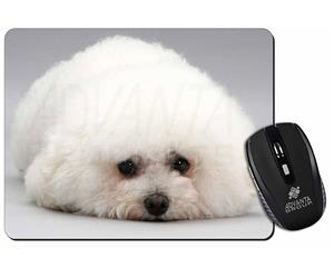 Click to see all products with this Bichon Frise