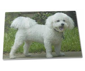 Click to see all products with this Bichon Frise.