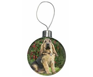 Click to see all products with this Bloodhound