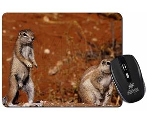 Click to see all products with these Chipmunks. 