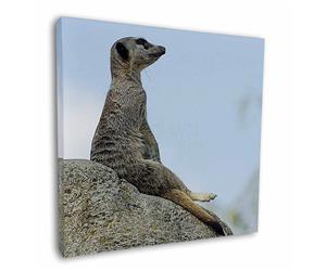 Click to see all products with this Meerkat.