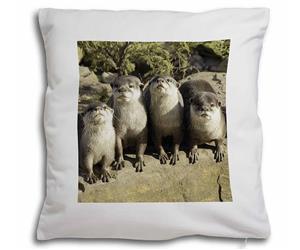 Click to see all products with these Otters. 