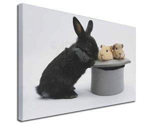 Click to see all products with this Rabbit and Guinea Pigs.