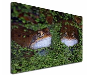 Click image to see all products with these Pond Frogs.