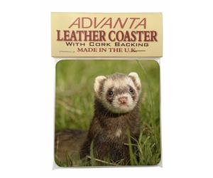 Click to see all products with this Ferret.