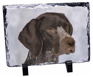 Click Image to See the Different Pointer Dogs & All Different Products Available