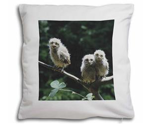 Click to see all products with these Owl Chicks