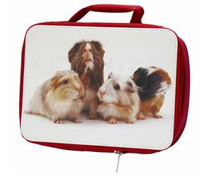 Click to see all products with these Guinea Pigs.