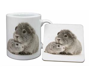 Click to see all products with these Silver Guinea Pigs.