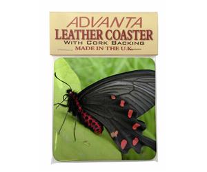 Click image to see all products with this Black and Red Butterfly.