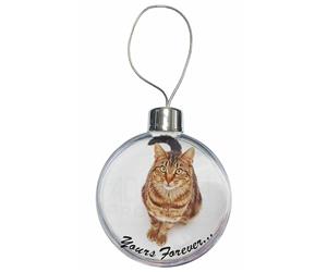 Click this image to see all products with this Tabby Cat.

"Yours Forever..."