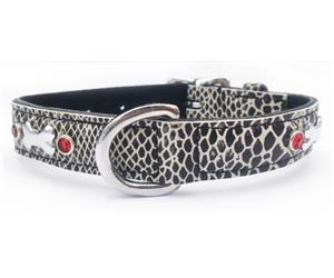 Click image to see all Black Leather Pet Collars.