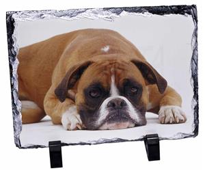 Click to see all products with this Red and White Boxer