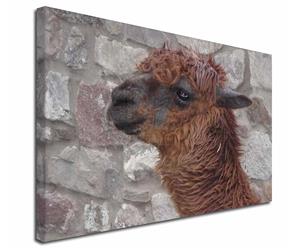 Click Image to See All the Different Llamas and Products in this Section