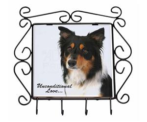 Click to see all products with this Tri-Colour Border Collie