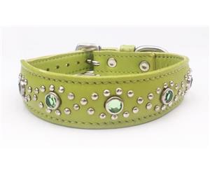 Click image to see all Green Leather Pet Collars.
