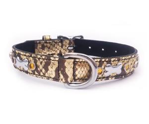 Click image to see all Gold Leather Pet Collars.