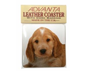 Click to see all products with this Cocker Spaniel