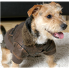 Yap Dog "Flying Jacket" Leatherette Bomber jacket for Dogs 12"