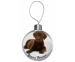 Click to see all products with this Chesapeake Bay Retriever 