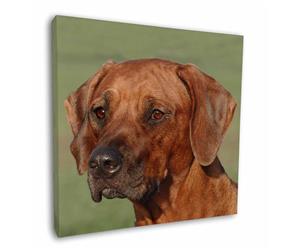 Click image to see all products with this Rhodesian Ridgeback