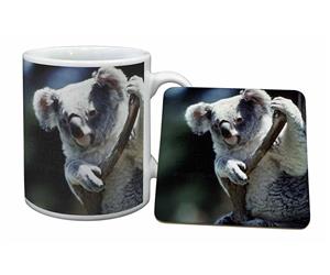 Click Image to See All the Different Koala Products in this Section