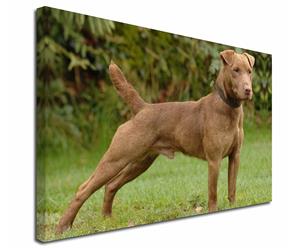 Click image to see all products with this Patterdale Terrier.