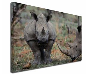 Click Image to See the Different Rhino and Products in this Section