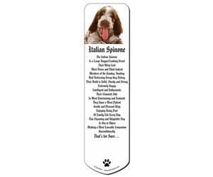 Click image to see all products with this Italian Spinone