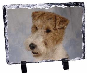 Click to see all products with this Fox Terrier