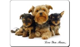 Click image to see all products with these Yorkshire Terriers.

"Love You Mum..."