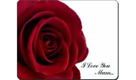 Click image to see all products with this Mothers Day Rose.

"I Love You Mum..."