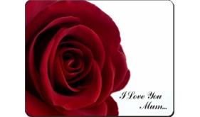 Click image to see all products with this Mothers Day Rose.

"I Love You Mum..."