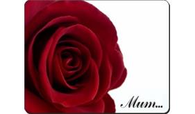 Click image to see all products with this Mothers Day Rose.

"Mum..."