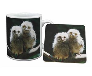 Click image to see all products with these Owl Chicks.